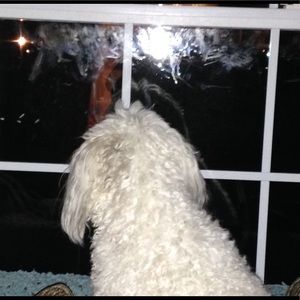 Meet your Posher, Emma